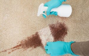 شركه تنظيف سجاد بالظهران 